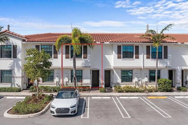 Mediterranea , Arbor Parc