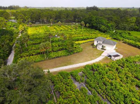1550 C Road, Loxahatchee Groves FL - photo 20 of 23