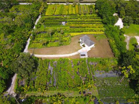 1550 C Road, Loxahatchee Groves FL - photo 21 of 23