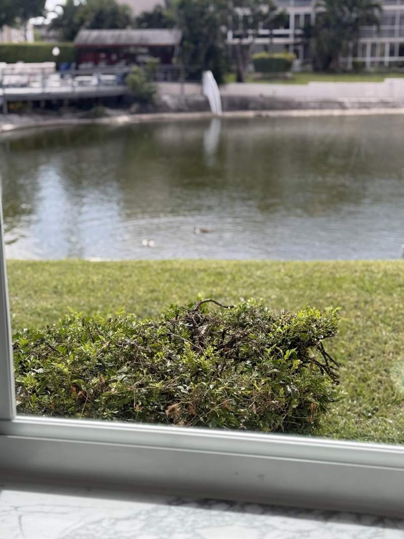 1 bedroom Condominium at 2616 N Gardens Drive #105, Lake Clarke Gardens Condo 9, Lake Worth — photo 2