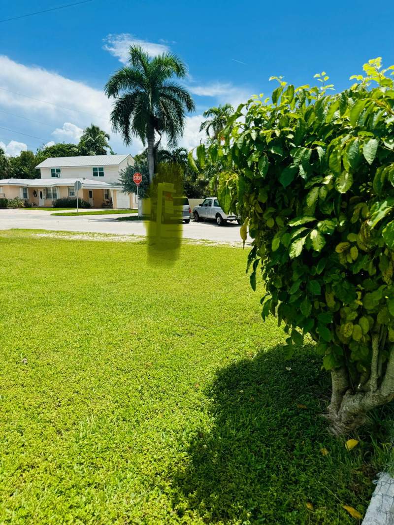 2 bedroom Single Family Residence at 1521 Rose Street, Kamien Plat #1 (2.0), Key West — photo 3