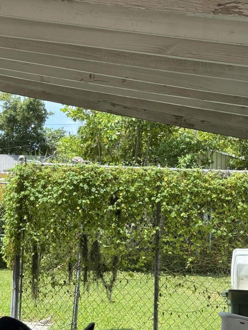 2 bedroom Single Family Residence at 1521 Rose Street, Kamien Plat #1 (2.0), Key West — photo 5