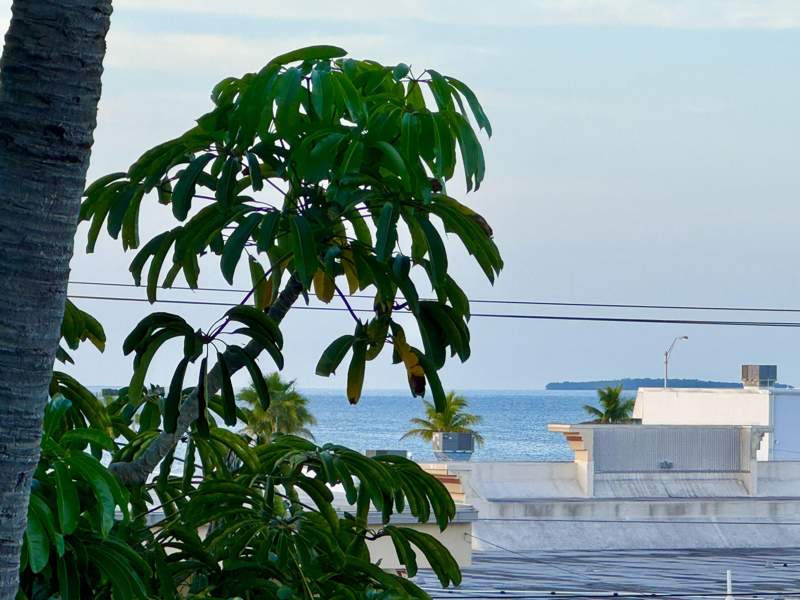 1 bedroom Condominium at 3312 Northside Drive #405, Santa Clara (3.0), Key West — photo 2