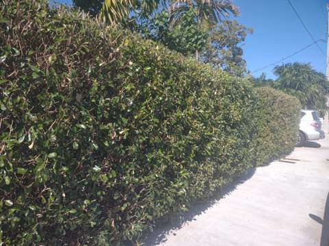 2311 Patterson Avenue, Key West FL - photo 16 of 22