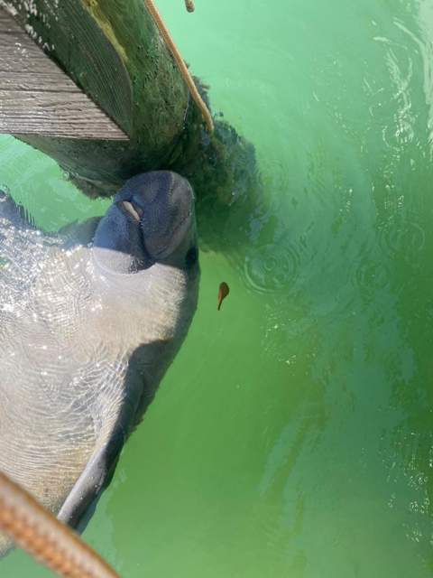 96000 Overseas Highway #U9, Key Largo FL - photo 21 of 21