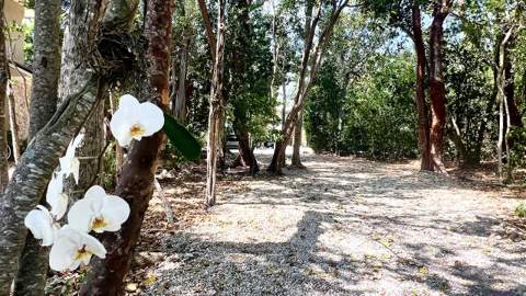 96000 Overseas Highway #P1, Key Largo FL - photo 19 of 38