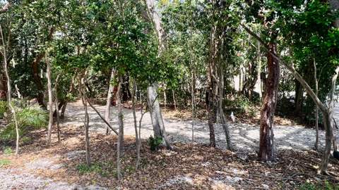 96000 Overseas Highway #P1, Key Largo FL - photo 21 of 38