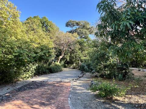 20 Avacado Street, Upper Matecumbe Key Islamorada FL - photo 11 of 44