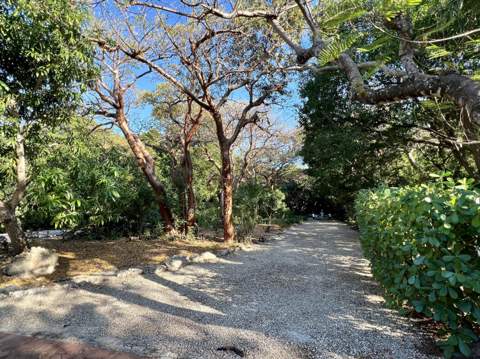 20 Avacado Street, Upper Matecumbe Key Islamorada FL - photo 12 of 44