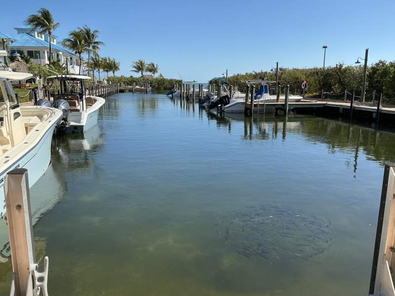 2 bedroom Condominium at 500 Burton Drive #1415, Ocean Pointe (92.5), Key Largo — photo 5