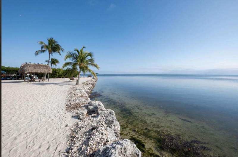 1 bedroom Condominium at 200 Wrenn Street #Apt 502, Sea Gulls (90.0), Plantation Key — photo 3