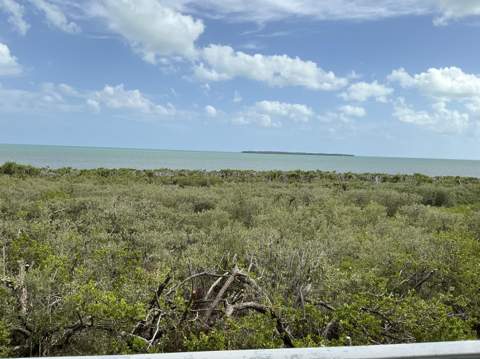 500 Burton Drive ## 4211, Key Largo FL - photo 23 of 56