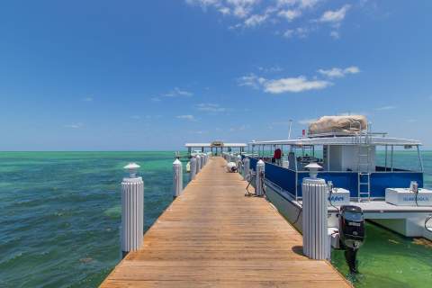 81801 Overseas Highway ## 729, Upper Matecumbe Key Islamorada FL - photo 21 of 64