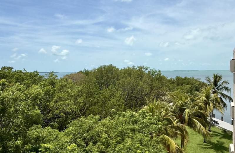 2 bedroom Condominium at 88500 Overseas Highway #Apt 424, Summer Sea (88.5), Plantation Key — photo 4