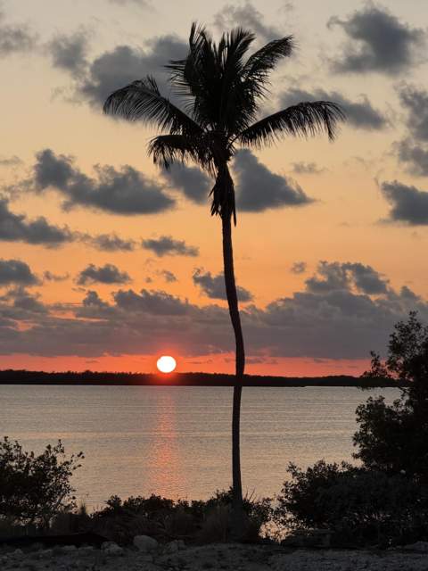 239 Plantation Avenue, Plantation Key FL - photo 19 of 20