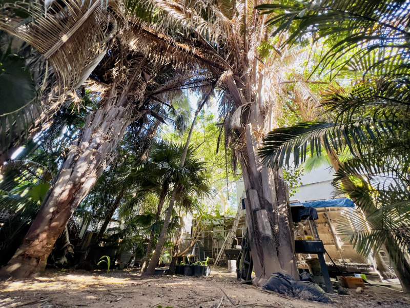 3 bedroom Single Family Residence at 511 Tabby Lane, Old Town - Unrecord (1.0), Key West — photo 4