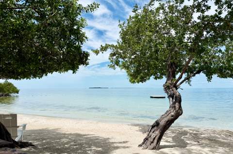96000 Overseas Highway #P1, Key Largo FL - photo 22 of 38