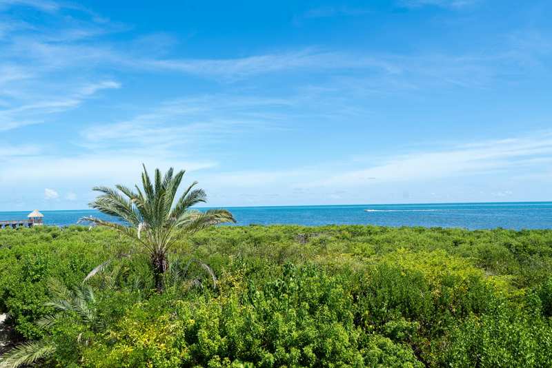 2 bedroom Condominium at 500 Burton Drive #4207, Ocean Pointe (92.5), Key Largo — photo 1