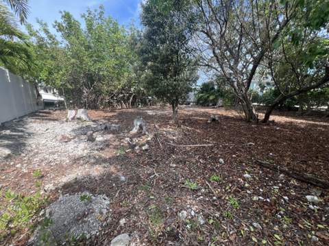 148 Tequesta Street, Plantation Key FL - photo 10 of 27