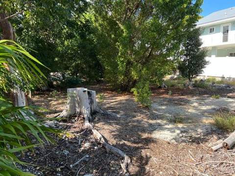 148 Tequesta Street, Plantation Key FL - photo 17 of 27