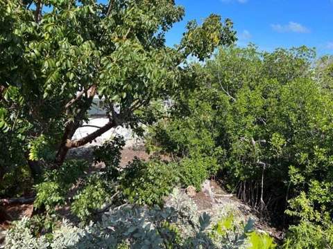 148 Tequesta Street, Plantation Key FL - photo 18 of 27