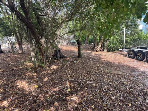 148 Tequesta Street, Plantation Key FL - photo 22 of 27