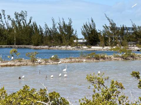 32029 Marginella Drive, Big Pine Key FL - photo 16 of 16