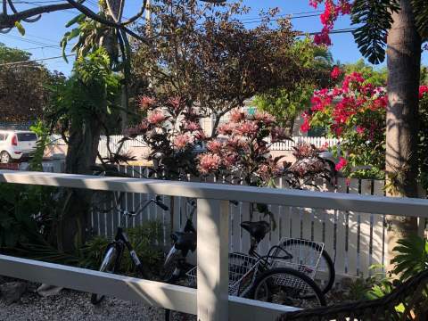 1500 Seminary Street #Apt 2D, Key West FL - photo 19 of 20