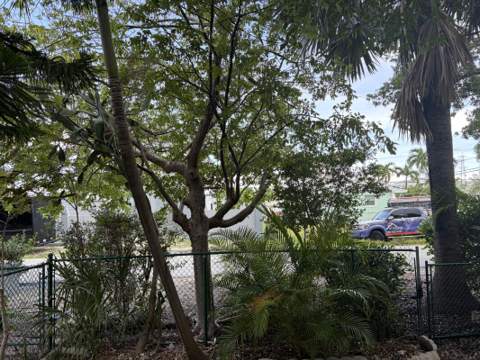 48 7Th Avenue, Stock Island FL - photo 7 of 13