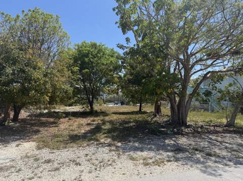 29558 Ranger Avenue, Big Pine Key FL - photo 8 of 19