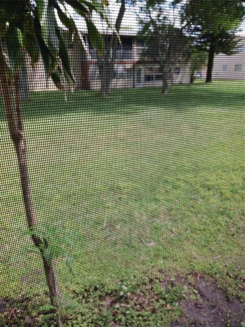 7605 W Atlantic Boulevard #106, Margate FL - photo 10 of 16