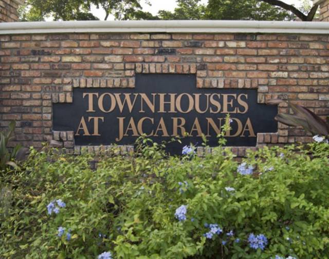 Jacaranda