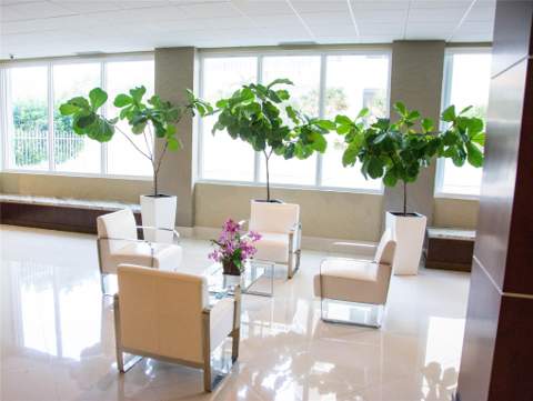 4250 Galt Ocean Drive #1M, Fort Lauderdale FL - photo 18 of 21