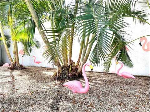 3232 NE 15th Street, Pompano Beach FL - photo 16 of 16