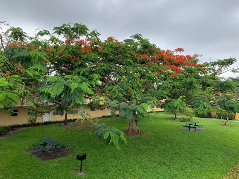 1 bedroom Condominium at 5168 NE 6th Avenue #426, Village Park At Oakland, Fort Lauderdale — photo 2