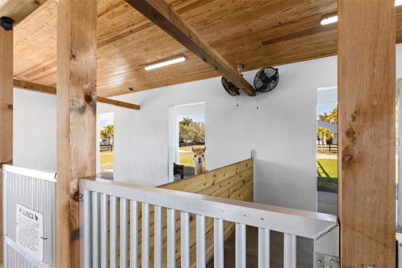 5 bedroom Single Family Residence at 14473 Draft Horse Lane, Paddock Park 2 Of Wellington, Wellington — photo 5