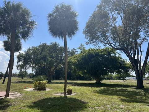 6161 NW 2nd Avenue #114, Boca Raton FL - photo 15 of 23