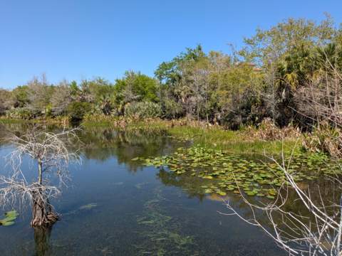 2157 SE Jamieson Drive, Port St. Lucie FL - photo 23 of 28