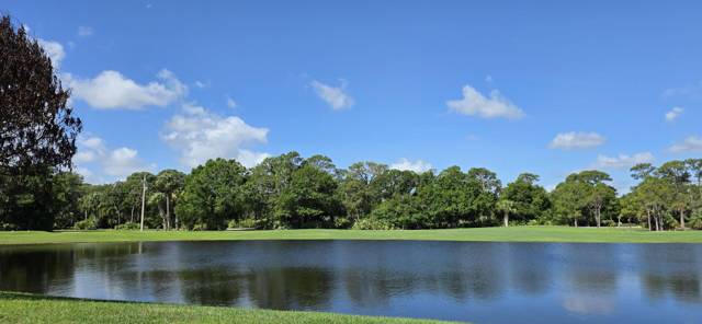 Marsh Landing At The Reserve