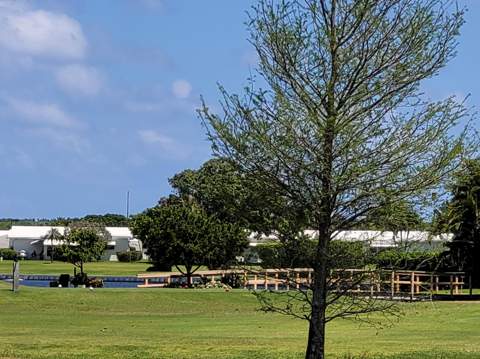300 SW Golfview Terrace #142, Boynton Beach FL - photo 19 of 71