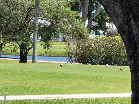 300 SW Golfview Terrace #142, Boynton Beach FL - photo 18 of 71
