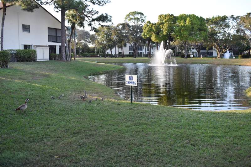 2 bedroom Condominium at 3374 Perimeter Drive, LUCERNE PARK CONDOS 1, Greenacres — photo 1