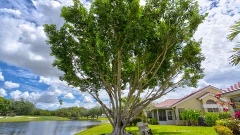 6120 Bear Creek Court, Lake Worth FL - photo 12 of 72
