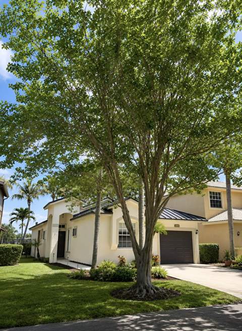 4939 Pelican Street, Coconut Creek FL - photo 7 of 32