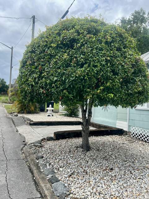 208 Avenue E, Fort Pierce FL - photo 10 of 90