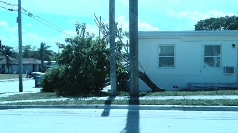 900 W 9th Street, Riviera Beach FL - photo 7 of 30