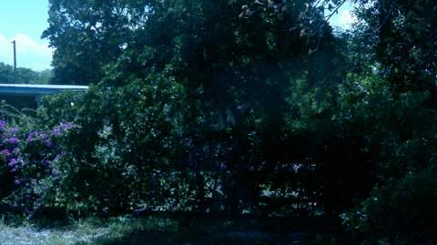 900 W 9th Street, Riviera Beach FL - photo 8 of 30