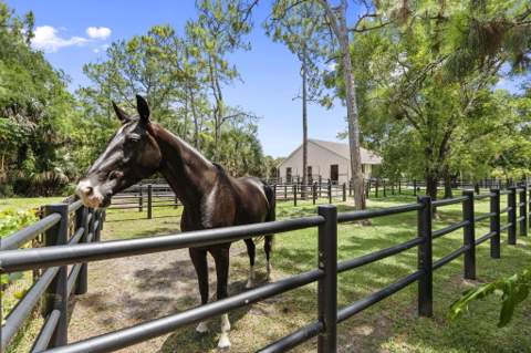17225 Mare Lane, Loxahatchee FL - photo 20 of 101