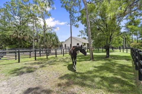 17225 Mare Lane, Loxahatchee FL - photo 21 of 101