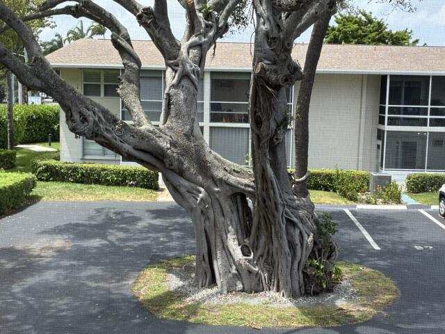 1 bedroom Condominium at 620 Horizon #202, Sterling Village 620 Condo, Boynton Beach — photo 1